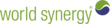 World Synergy